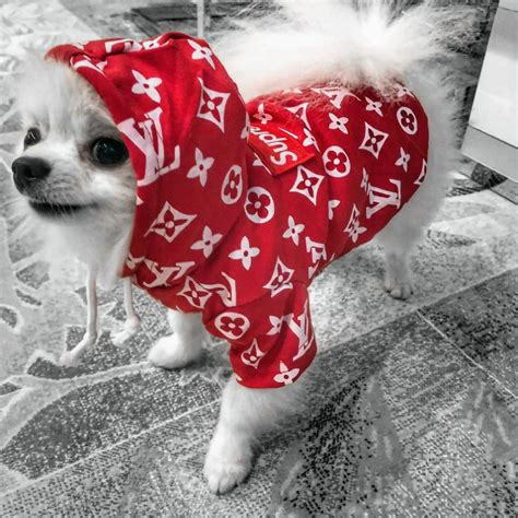 supreme dog hoodie